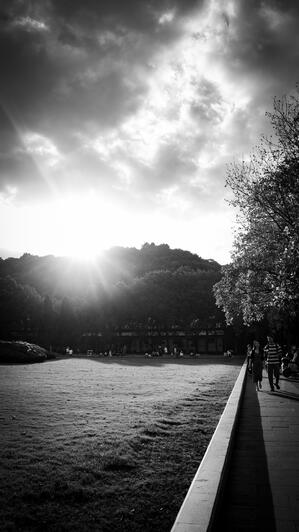 Street_B&amp;W.