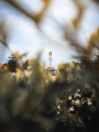 Guangyin_3